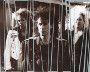 Brighton: An AOR band who hail from California, USA, not Brighton, UK
