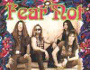 Fear Not: Californian heavy rockers making noise with Pakaderm Records
