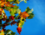 Season Of Change