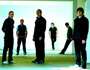 Bluetree Live In Lincolnshire