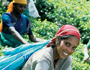 Fairtrade - Spending Money To Help Others