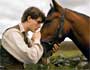 War Horse