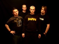 EXPERIMENTALISTS: Fire Fly
