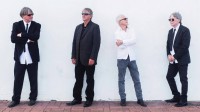 David & The Giants