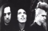 Ashen Mortality