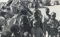 Hila Shok camp