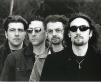 Gethsemane Rose