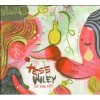Tess Wiley - Superfast Rock'n' Roll Played Slow