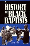 Leroy Fitts - A history of Black Baptists