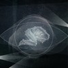 Hands - Give Me Rest