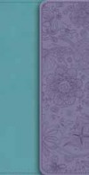 NIV Diary Bible With Clasp