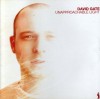 David Gate - Unapproachable Light