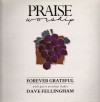 Product Image: Dave Fellingham - Forever Grateful
