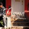 Product Image: Liquid - Tales From The Badlands