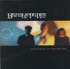Bumblepuppy - An Evening At The Feelies