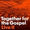 Sovereign Grace Music - Together for the Gospel: Live II