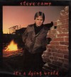 Product Image: Steve Camp - It's A Dying World