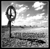 Product Image: The Crossroads - Sink Or Swim