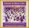 Product Image: Shekinah Glory Ministry - Praise is What I Do