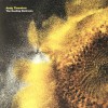 Andy Thornton - The Healing Darkness