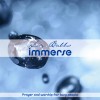 Product Image: Liz Babbs - Immerse