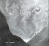 Product Image: Noel Donaldson - Awaiting The Arrival