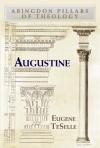 Eugene TeSelle - Augustine (Abingdon Pillars of Theology)