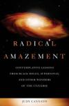 Judy Cannato - Radical Amazement: Contemplative Lessons from Black Holes, Supernovas and Other Wonders of the Universe