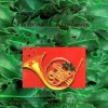 Sandi Patti - Celebrate Christmas 1992