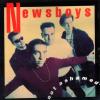 Product Image: Newsboys - Not Ashamed