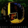 Andy Thornton - Victims And Criminals