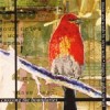 Product Image: Steve Scott - Crossing The Boundaries