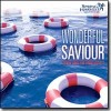 Product Image: Spring Harvest - Wonderful Saviour: 20 New Songs