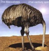 The Maccabees - 21st Century Spin