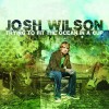 Josh Wilson - Trying To Fit The Ocean In A Cup
