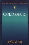 David Hay - Colossians (Abingdon New Testament Commentaries)