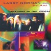 Larry Norman And Beam - Shouting In The Storm: Flevo 2 (re-issue)