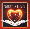 Product Image: Audio 1 - What Is Love?
