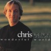 Product Image: Chris Eaton - Wonderful World