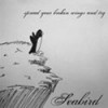 Product Image: Seabird - Spread Your Broken Wings And Try