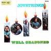 The Joystrings - Well Seasoned