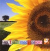 Product Image: Robin Vincent - Molten Meditation 2