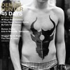Product Image: Demon Hunter - 45 Days
