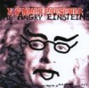 Product Image: The Angry Einsteins - X-Sinner Presents The Angry Einsteins