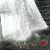 Kevin Prosch Band - Kiss The Son