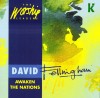 Product Image: David Fellingham - Awaken The Nations