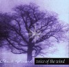 Product Image: Chuck Girard - Voice Of The Wind: Personal Worship Vol 1
