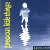 David Lyon - Precious Little Things