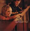 Glassbyrd - Open Wide This Window