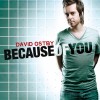 Product Image: David Ostby - Because Of You